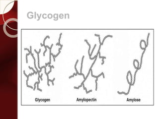 Glycogen
 