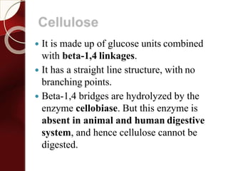 Cellulose
 It is made up of glucose units combined
with beta-1,4 linkages.
 It has a straight line structure, with no
branching points.
 Beta-1,4 bridges are hydrolyzed by the
enzyme cellobiase. But this enzyme is
absent in animal and human digestive
system, and hence cellulose cannot be
digested.
 