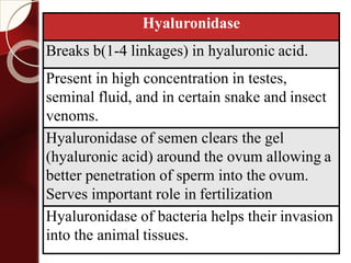 Hyaluronidase
Breaks b(1-4 linkages) in hyaluronic acid.
Present in high concentration in testes,
seminal fluid, and in certain snake and insect
venoms.
Hyaluronidase of semen clears the gel
(hyaluronic acid) around the ovum allowing a
better penetration of sperm into the ovum.
Serves important role in fertilization
Hyaluronidase of bacteria helps their invasion
into the animal tissues.
 