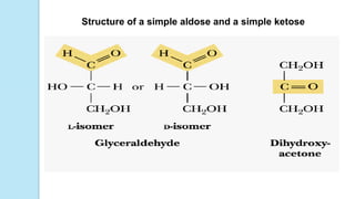 Structure of a simple aldose and a simple ketose
 
