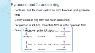 Pyranose and furanose ring
 Pentoses and Hexoses cyclize to form furanose and pyranose
rings
 Chiefly exists as ring form and not in open chain
 For glucose in solution, more than 99% is in the pyranose form.
 Open chain forms cyclize into rings:
 