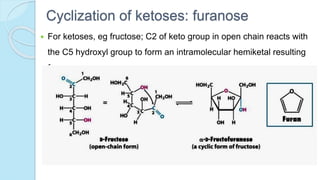 Cyclization of ketoses: furanose
 For ketoses, eg fructose; C2 of keto group in open chain reacts with
the C5 hydroxyl group to form an intramolecular hemiketal resulting
furanose
 