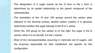  The designation of a sugar isomer as the D form or the L form is
determined by its spatial relationship to the parent compound of the
carbohydrates
 The orientation of the -H and -OH groups around the carbon atom
adjacent to the terminal primary alcohol carbon (carbon 5 in glucose)
determines whether the sugar belongs to the D or L series.
 When the -OH group on this carbon is on the right, the sugar is the D
isomer; when it is on the left, it is the L isomer.
 Most of the monosaccharides occurring in mammals are D sugars, and
the enzymes responsible for their metabolism are specific for this
configuration.
 
