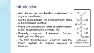 Introduction
 Also known as saccharides (sakcharonG =
sugar or sweetness)
 On the basis of mass, the most abundant class
of biomolecules in nature
 Plants are considerably richer in carbohydrates
(30%) in comparison to animals (1%)
 Primarily composed of elements: Carbon,
Hydrogen and Oxygen
 The term “Carbohydrate” is derived from the
french: hydrate de carbone (hydrates of
Carbon)
 