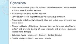 Glycosides
 When the hemi-acetal group of a monosaccharide is condensed with an alcohol
or phenol group, it is called glycoside
 Non-carbohydrate group is called aglycone
 Don’t reduce benedict reagent because the sugar group is masked.
 They may be hydrolysed by boiling with dilute acid so that sugar is free and can
reduce copper
 Glucose + phloretin = Phloridzine - displaces Na+ from the binding site of 'carrier
protein‘ and prevents binding of sugar molecule and produces glycosuria
(causes Renal damage)
 Galactose, Xylose + digitogenin = Digitonin – Cardiac Stimulant
 Glucose + indoxyl = Plant indican – used as stain
 