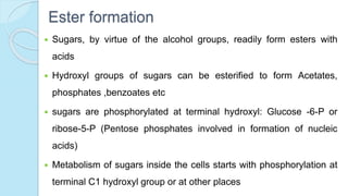 Ester formation
 Sugars, by virtue of the alcohol groups, readily form esters with
acids
 Hydroxyl groups of sugars can be esterified to form Acetates,
phosphates ,benzoates etc
 sugars are phosphorylated at terminal hydroxyl: Glucose -6-P or
ribose-5-P (Pentose phosphates involved in formation of nucleic
acids)
 Metabolism of sugars inside the cells starts with phosphorylation at
terminal C1 hydroxyl group or at other places
 