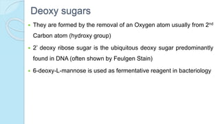 Deoxy sugars
 They are formed by the removal of an Oxygen atom usually from 2nd
Carbon atom (hydroxy group)
 2’ deoxy ribose sugar is the ubiquitous deoxy sugar predominantly
found in DNA (often shown by Feulgen Stain)
 6-deoxy-L-mannose is used as fermentative reagent in bacteriology
 