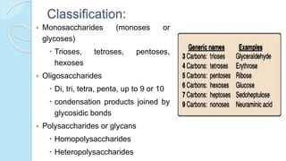 Classification:
 Monosaccharides (monoses or
glycoses)
 Trioses, tetroses, pentoses,
hexoses
 Oligosaccharides
 Di, tri, tetra, penta, up to 9 or 10
 condensation products joined by
glycosidic bonds
 Polysaccharides or glycans
 Homopolysaccharides
 Heteropolysaccharides
 