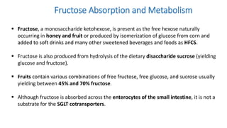 Carbohydrates (Modern Nutrition in Health & Disease 11th edition Book ...