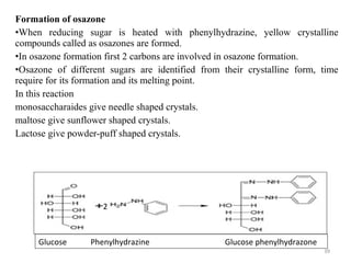 Carbohydrates | PPT