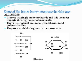 Some of the better known monosaccharides are:
A).GLUCOSE:
 Glucose is a single monosaccharide and it is the most
important energy source of mammals.
 They are structural units of oligosaccharides and
polysaccharides.
 They consist aldehyde group in their structure
 