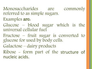 Monosaccharides are commonly
referred to as simple sugars.
Examples are:
Glucose – blood sugar which is the
universal cellular fuel
Fructose – fruit sugar is converted to
glucose for used by body cells.
Galactose – dairy products
Ribose - form part of the structure of
nucleic acids.
 