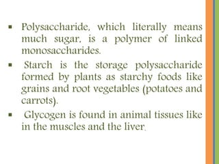  Polysaccharide, which literally means
much sugar, is a polymer of linked
monosaccharides.
 Starch is the storage polysaccharide
formed by plants as starchy foods like
grains and root vegetables (potatoes and
carrots).
 Glycogen is found in animal tissues like
in the muscles and the liver.
 