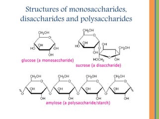 Structures of monosaccharides,
disaccharides and polysaccharides
 