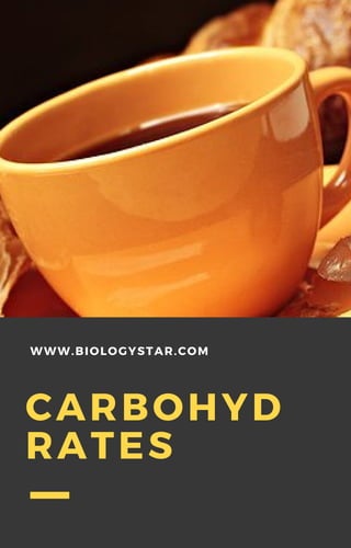 CARBOHYD
RATES
WWW.BIOLOGYSTAR.COM
 