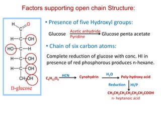 Glucose Glucose penta acetate
C6H12O6
HCN Cynohydrin Poly-hydroxy acid
H2O
HI/P
CH3CH2CH2CH2CH2CH2COOH
n- heptanoic acid
• Presence of five Hydroxyl groups:
Factors supporting open chain Structure:
C
C OHH
C HHO
C OHH
C OHH
CH2OH
D-glucose
OH
Acetic anhydride
Pyridine
• Chain of six carbon atoms:
Complete reduction of glucose with conc. HI in
presence of red phosphorous produces n-hexane.
Reduction
 