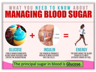The principal sugar in blood is Glucose.
 