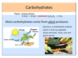 Plants: photosynthesis
6 CO2 + 6 H2O C6H12O6 + 6 O2
 
