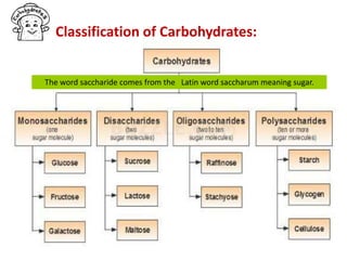 Classification of Carbohydrates:
The word saccharide comes from the Latin word saccharum meaning sugar.
 