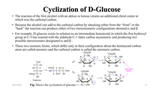 Cyclization of D-Glucose
• The reaction of the first alcohol with an aldose or ketose creates an additional chiral center at
which was the carbonyl carbon.
• Because the alcohol can add to the carbonyl carbon by attacking either from the “front” or the
“back” the reaction can produce either of two stereoisomeric configurations denoted  and β.
• For example, D-glucose exists in solution as an intermediate hemiacetal in which the free hydroxyl
group at C-5 has reacted with the aldehyde C-1 latter carbon asymmetric and producing two
possible stereoisomers designated  and β .
• These two isomeric forms, which differ only in their configuration about the hemiacetal carbon
atom are called anomers and the carbonyl carbon is called the anomeric carbon.
18/01/2020 13Fig: Shows the cyclization of glucoseM.ADEEL AKRAM
 