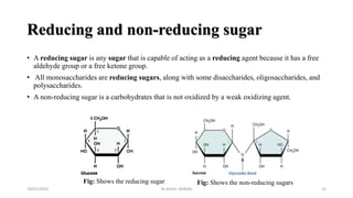 Reducing and non-reducing sugar
• A reducing sugar is any sugar that is capable of acting as a reducing agent because it has a free
aldehyde group or a free ketone group.
• All monosaccharides are reducing sugars, along with some disaccharides, oligosaccharides, and
polysaccharides.
• A non-reducing sugar is a carbohydrates that is not oxidized by a weak oxidizing agent.
18/01/2020 15
Fig: Shows the reducing sugar Fig: Shows the non-reducing sugars
M.ADEEL AKRAM
 