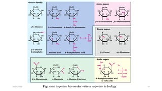 18/01/2020 19Fig: some important hexose derivatives important in biologyM.ADEEL AKRAM
 