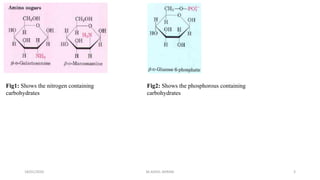 18/01/2020 3
Fig1: Shows the nitrogen containing
carbohydrates
Fig2: Shows the phosphorous containing
carbohydrates
M.ADEEL AKRAM
 