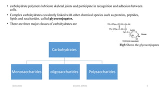 • carbohydrate polymers lubricate skeletal joints and participate in recognition and adhesion between
cells.
• Complex carbohydrates covalently linked with other chemical species such as proteins, peptides,
lipids and saccharides. called glycoconjugates.
• There are three major classes of carbohydrates are
18/01/2020 4
Carbohydrates
Monosaccharides oligosaccharides Polysaccharides
Fig3:Shows the glycoconjugates
M.ADEEL AKRAM
 