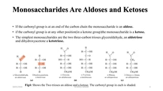 Monosaccharides Are Aldoses and Ketoses
18/01/2020 6
• If the carbonyl group is at an end of the carbon chain the monosaccharide is an aldose.
• if the carbonyl group is at any other position(in a ketone group)the monosaccharide is a ketose.
• The simplest monosaccharides are the two three-carbon trioses glyceraldehyde, an aldotriose
and dihydroxyacetone a ketotriose.
Fig4: Shows the Two trioses an aldose and a ketose. The carbonyl group in each is shaded.M.ADEEL AKRAM
 