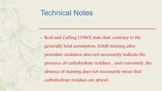 Technical Notes
– Reid and Culling [1980] state that, contrary to the
generally held assumption, Schiff staining after
periodate oxidation does not necessarily indicate the
presence of carbohydrate residues, , and conversely, the
absence of staining does not necessarily mean that
carbohydrate residues are absent.
 