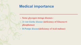 Medical importance
– Some glycogen storage diseases :
– A-von Gierke disease (deficiency of Glucose-6-
phosphatase)
– B-Pompe disease(deficiency of Acid maltase)
 