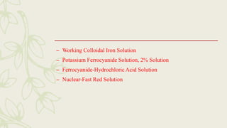 – Working Colloidal Iron Solution
– Potassium Ferrocyanide Solution, 2% Solution
– Ferrocyanide-Hydrochloric Acid Solution
– Nuclear-Fast Red Solution
 