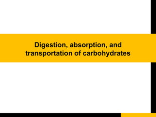 Digestion, absorption, and
transportation of carbohydrates
 