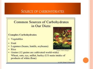 SOURCE OF CARBOHYDRATES
 