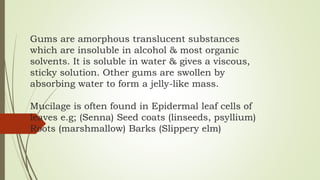 Gums are amorphous translucent substances
which are insoluble in alcohol & most organic
solvents. It is soluble in water & gives a viscous,
sticky solution. Other gums are swollen by
absorbing water to form a jelly-like mass.
Mucilage is often found in Epidermal leaf cells of
leaves e.g; (Senna) Seed coats (linseeds, psyllium)
Roots (marshmallow) Barks (Slippery elm)
 