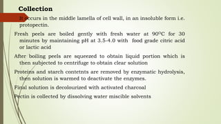 Collection
It occurs in the middle lamella of cell wall, in an insoluble form i.e.
protopectin.
Fresh peels are boiled gently with fresh water at 90OC for 30
minutes by maintaining pH at 3.5-4.0 with food grade citric acid
or lactic acid
After boiling peels are squeezed to obtain liquid portion which is
then subjected to centrifuge to obtain clear solution
Proteins and starch contetnts are removed by enzymatic hydrolysis,
then solution is warmed to deactivate the enzymes.
Final solution is decolourized with activated charcoal
Pectin is collected by dissolving water miscible solvents
 