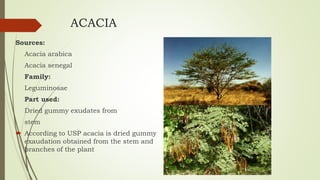 ACACIA
Sources:
Acacia arabica
Acacia senegal
Family:
Leguminosae
Part used:
Dried gummy exudates from
stem
 According to USP acacia is dried gummy
exaudation obtained from the stem and
branches of the plant
 