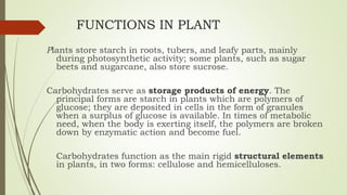 FUNCTIONS IN PLANT
Plants store starch in roots, tubers, and leafy parts, mainly
during photosynthetic activity; some plants, such as sugar
beets and sugarcane, also store sucrose.
Carbohydrates serve as storage products of energy. The
principal forms are starch in plants which are polymers of
glucose; they are deposited in cells in the form of granules
when a surplus of glucose is available. In times of metabolic
need, when the body is exerting itself, the polymers are broken
down by enzymatic action and become fuel.
Carbohydrates function as the main rigid structural elements
in plants, in two forms: cellulose and hemicelluloses.
 