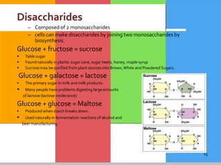 15
Disaccharides
– Composed of 2 monosaccharides
– cells can make disaccharides by joining two monosaccharides by
biosynthesis.
Glucose + fructose = sucrose
 Table sugar
 Found naturally in plants: sugar cane, sugar beets, honey, maple syrup
 Sucrose may be purified from plant sources into Brown,White and Powdered Sugars.
Glucose + galactose = lactose
• The primary sugar in milk and milk products.
• Many people have problems digesting largeamounts
of lactose (lactose intolerance)
Glucose + glucose = Maltose
• Produced when starch breaks down.
• Used naturally in fermentation reactions of alcohol and
beer manufacturing.
 