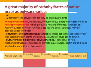 A great majority of carbohydrates of nature
occur as polysaccharides
Chemically, the polysaccharides may be distinguished into
homopolysaccharides, which yield, on hydrolysis, a single monosaccharide and
heteropolysaccharides ,which produce a mixture of monosaccharides on
hydrolysis. Based on their functional aspect, the polysaccharides may be
grouped under two heads :
(a) Nutrient (or digestible) polysaccharides. These act as metabolic reserve of
monosaccharides in plants and animals, e.g., starch, glycogen andinulin.
(b)Structural (or indigestible) polysaccharides. These serve as rigid
mechanical structures in plants and animals, e.g.,cellulose, pectin and chitin and
also hyaluronic acid and chondroitin.
 