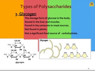 22
Types of Polysaccharides
3. Glycogen
The storage form of glucose in the body.
Stored in the liver and muscles.
Found in tiny amounts in meat sources.
Not found in plants.
Not a significant food source of carbohydrate.
 