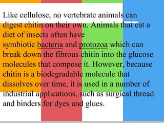 Like cellulose, no vertebrate animals can
digest chitin on their own. Animals that eat a
diet of insects often have
symbiotic bacteria and protozoa which can
break down the fibrous chitin into the glucose
molecules that compose it. However, because
chitin is a biodegradable molecule that
dissolves over time, it is used in a number of
industrial applications, such as surgical thread
and binders for dyes and glues.
 