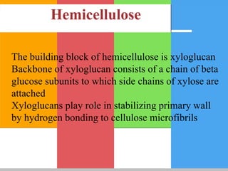 Hemicellulose
The building block of hemicellulose is xyloglucan
Backbone of xyloglucan consists of a chain of beta
glucose subunits to which side chains of xylose are
attached
Xyloglucans play role in stabilizing primary wall
by hydrogen bonding to cellulose microfibrils
 