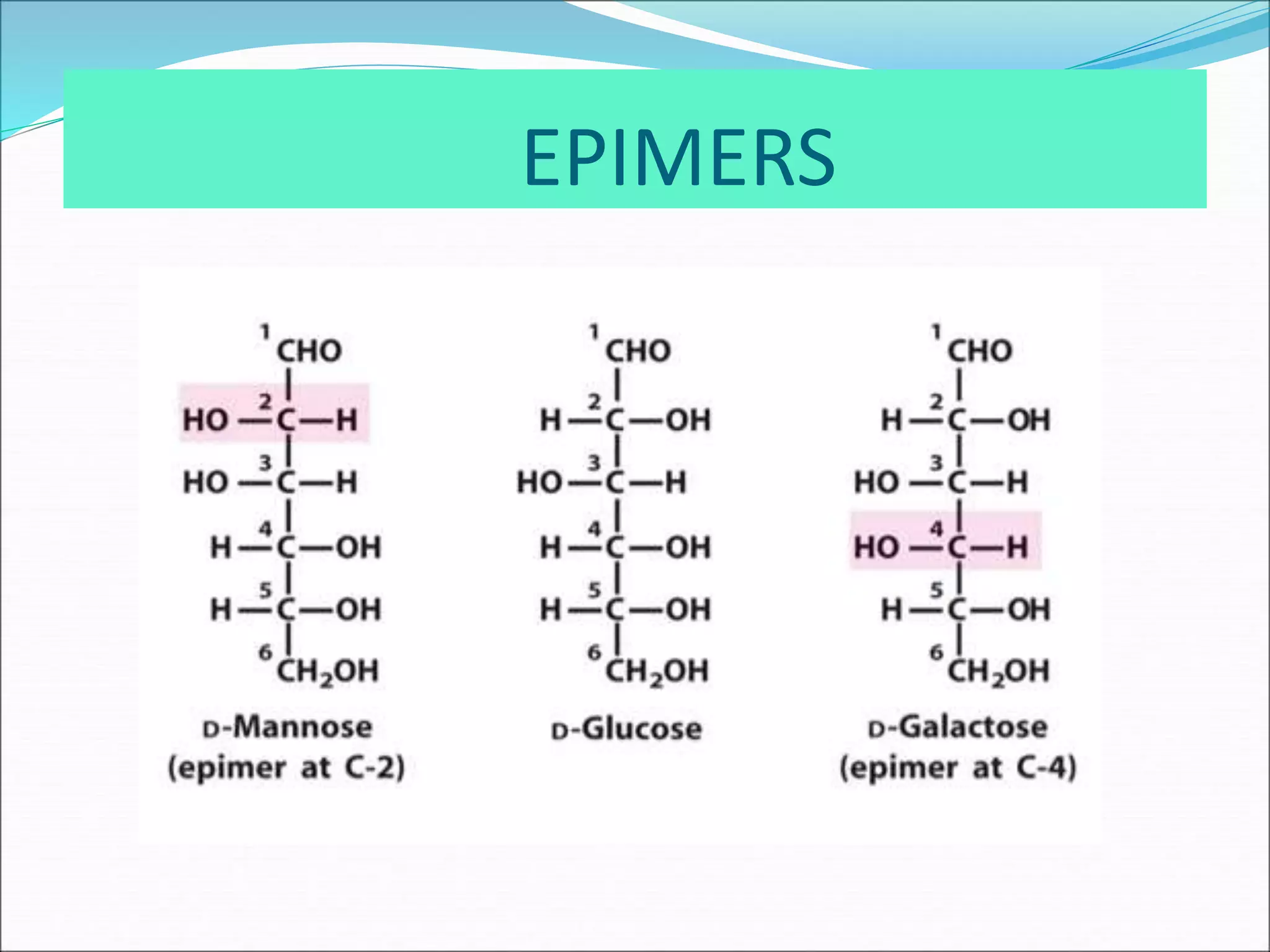 Carbohydrates | PPT