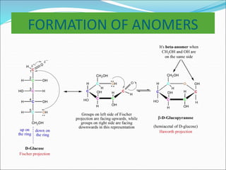 Carbohydrates | PPT