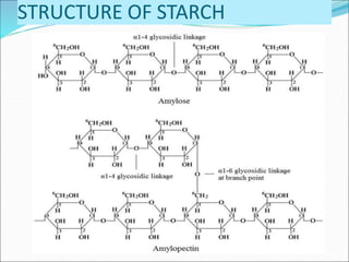 Carbohydrates | PPT