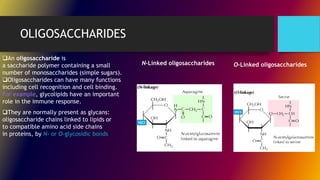 OLIGOSACCHARIDES
An oligosaccharide is
a saccharide polymer containing a small
number of monosaccharides (simple sugars).
Oligosaccharides can have many functions
including cell recognition and cell binding.
For example, glycolipids have an important
role in the immune response.
They are normally present as glycans:
oligosaccharide chains linked to lipids or
to compatible amino acid side chains
in proteins, by N- or O-glycosidic bonds
N-Linked oligosaccharides O-Linked oligosaccharides
 
