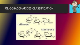 OLIGOSACCHARIDES CLASSIFICATION
 