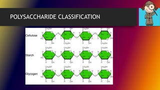 POLYSACCHARIDE CLASSIFICATION
 