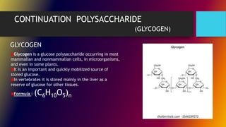 CONTINUATION POLYSACCHARIDE
(GLYCOGEN)
Glycogen is a glucose polysaccharide occurring in most
mammalian and nonmammalian cells, in microorganisms,
and even in some plants.
It is an important and quickly mobilized source of
stored glucose.
In vertebrates it is stored mainly in the liver as a
reserve of glucose for other tissues.
Formula : (C6H10O5)n
GLYCOGEN
 